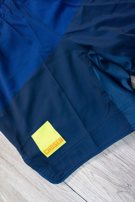 CHOSEN earth v2 Fightshorts